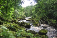 fly fishing holidays on the River Deveron 2
