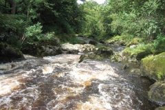fly fishing holidays on the River Deveron 3