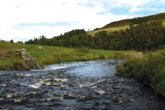fly fishing holidays on the River Deveron 5