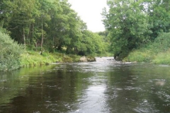 fly fishing holidays on the River Deveron 7