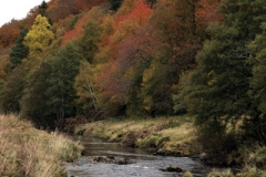 fly fishing holidays on the River Deveron 8