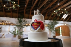 Aswanley_reception_gallery-16